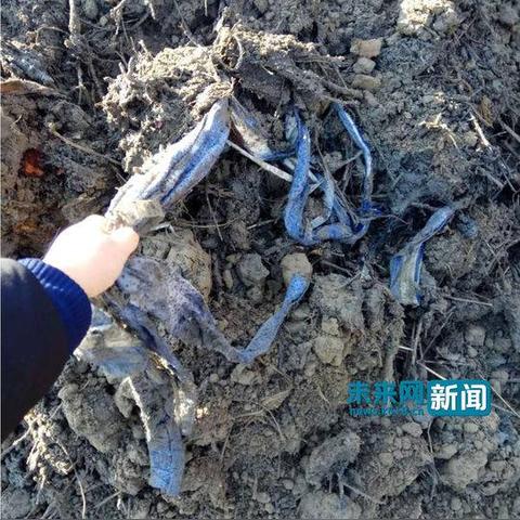 江苏纺织品家纺批发市场的地址探索