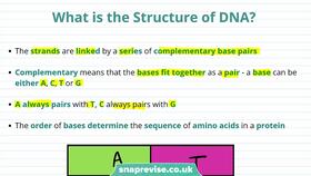 The Basic Structure of Textiles:An Insight into the Fundamentals