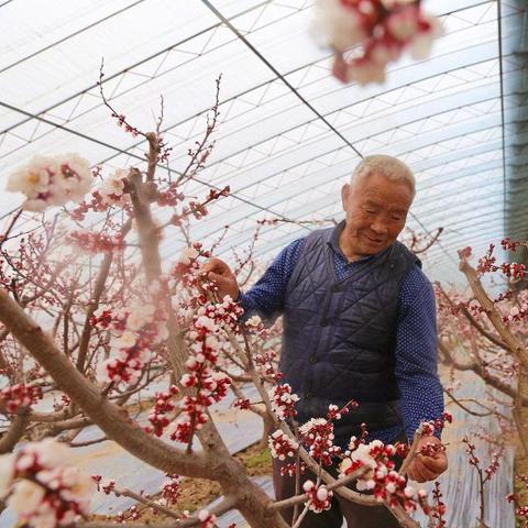 太原纺织品保暖布批发市场概览