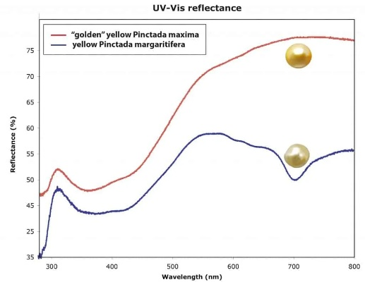 The Rise of UV-Based Fluorescent Testing for Detection in Textiles