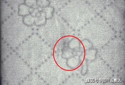 蚕丝纺织品出口案例分析