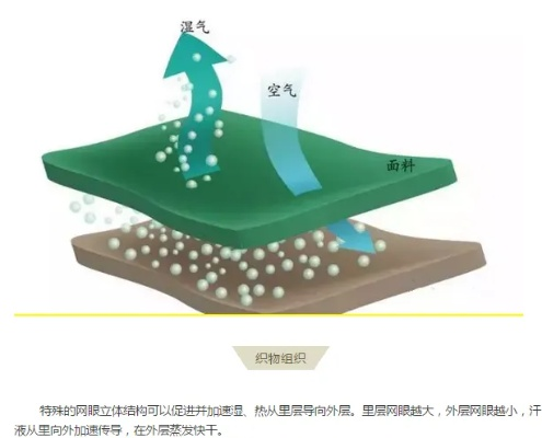 纯棉单向导湿纺织品 介绍与应用案例