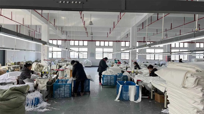 The Dynamics of Zhejiang Hongxing Textile Factory