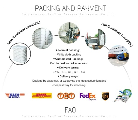 Demystifying the Relationship Between Silicone and Plastics or Textiles