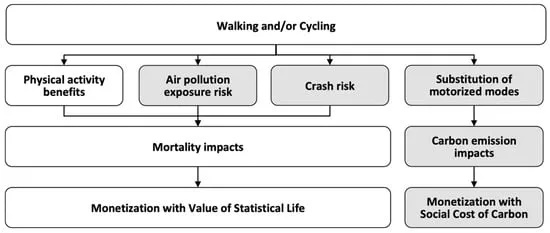 Understanding and Compliance with the Health Function Textiles Standards