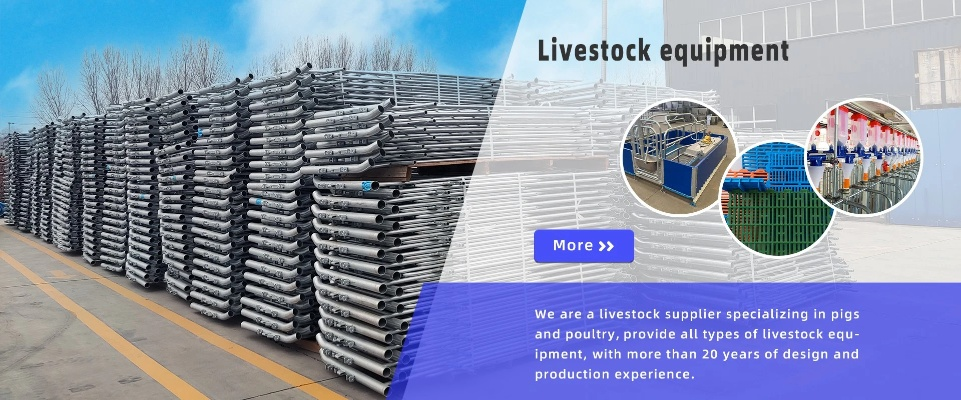 Exploring the Quality of Henan Textile Products with a Comprehensive Database