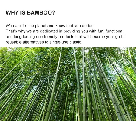 The Multifaceted World of Bamboo and Its Role in Sustainable Textiles
