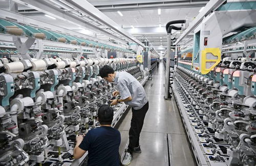 某纺织厂29纺织，精湛工艺与卓越品质的见证