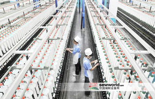 服装针纺织品批发市场概览