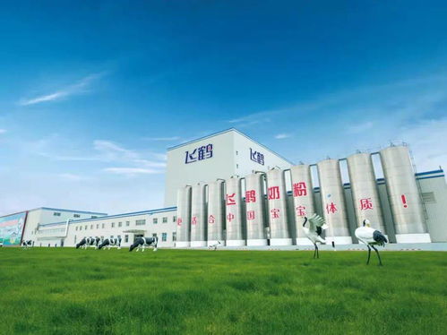 蠡县旭仃纺织品店，探索纺织品行业的多元魅力