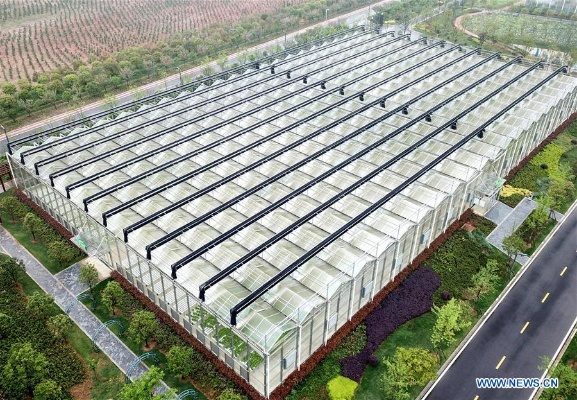 The Legacy and Modernity of Hubei Textile Plant Dormitory