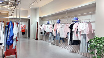 克拉玛依纺织品牌女装加盟，成功案例与市场分析