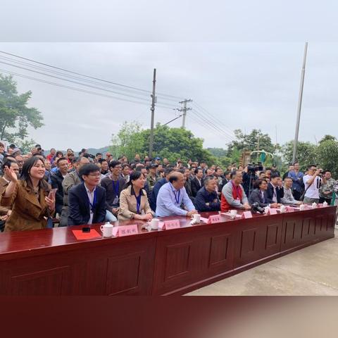 浦江大树纺织品厂招聘盛会，岗位与人才的双重盛宴