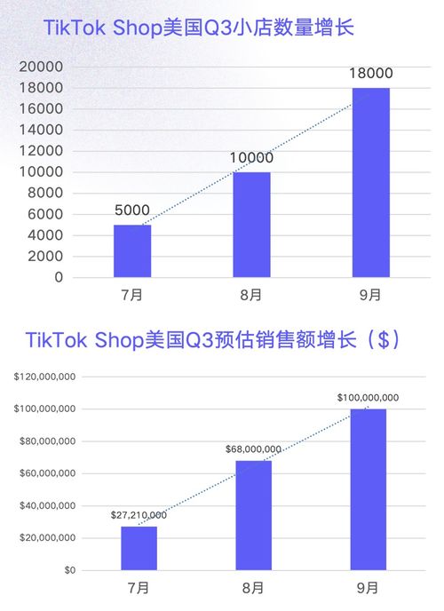 TikTok纺织品类目热门趋势与案例分析