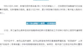 浙江鸿鹭纺织品牌围巾体验报告