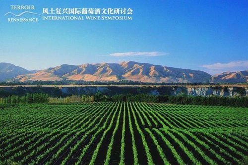The Dynamic Landscape of Yiwu Textile Industry A Global Tapestry