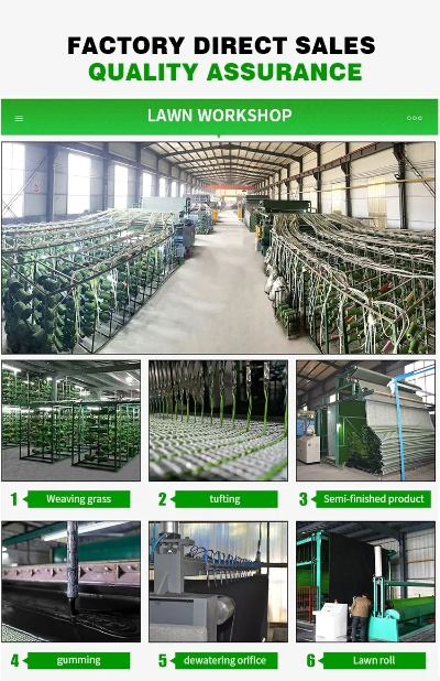The Dynamic Journey of Plump Head Green Textiles Factory