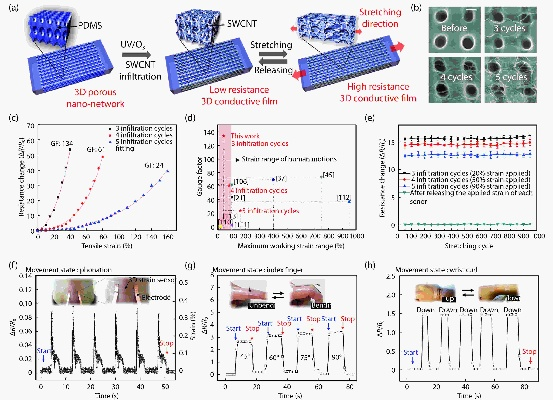 The Multifaceted Role of Nanotechnology in Nanotextiles