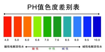 纺织品测试男生网名