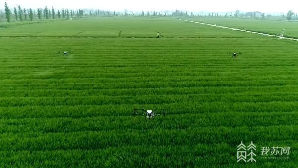 Exploring the Future of Green Textiles in Jiangsu