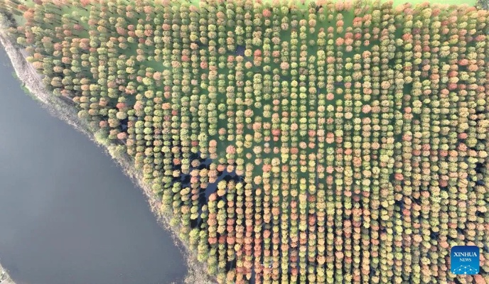Exploring the Future of Green Textiles in Jiangsu
