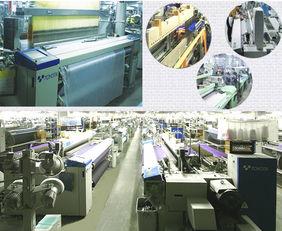 The TEXTILE PLANT Riot