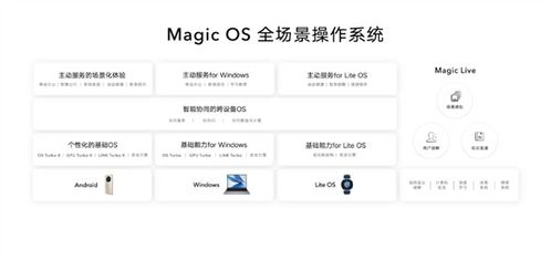 The Magic of抖选家居纺织品，案例分析与选购指南