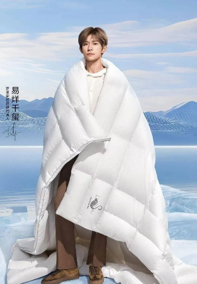 易烊千玺代言纺织品牌介绍
