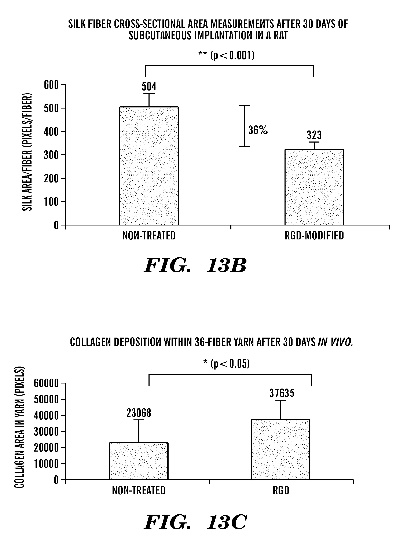 Guangxis Reputable Appraisal of Fabrics and Textiles