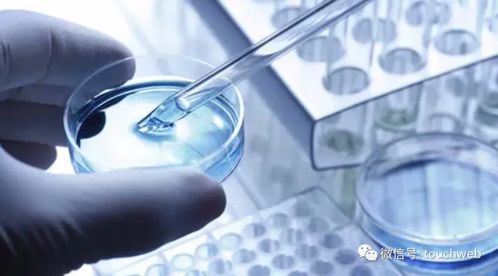 出口纺织品纱线标准要求与案例分析