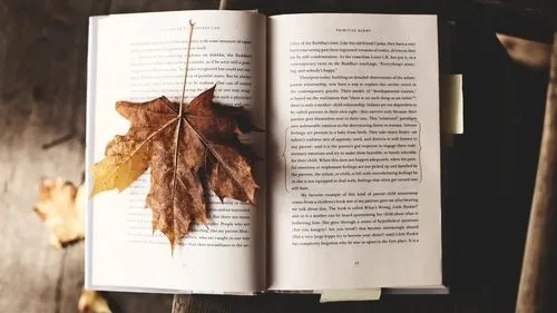 撰写纺织品研究书目，如何做好一本高质量的英文口语化书目