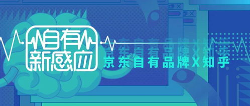 小杨家纺织品品牌探究，知乎上的讨论与案例分析