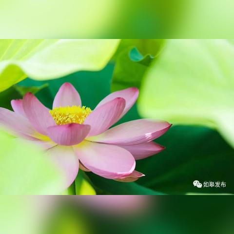 如皋欧朵纺织品小店，体验与选购指南