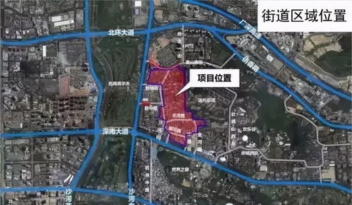 盐田棉纺织品批发城的地理位置与特色