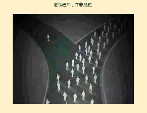 The Story of 合心纺织厂，一工厂的辉煌与挑战
