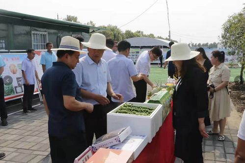 昌平区优质纺织品品牌检测推荐