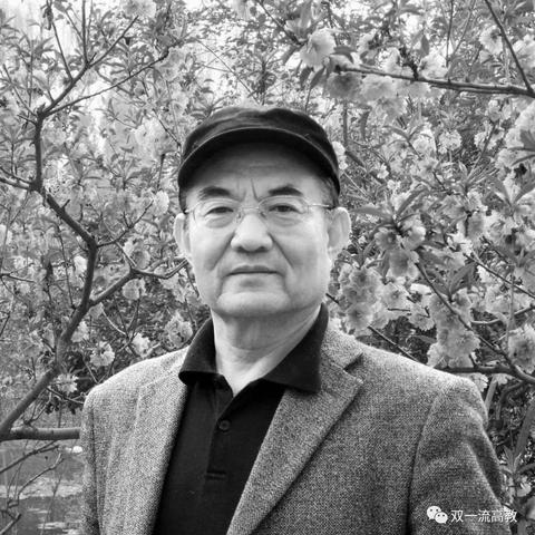 黑龙江纺织品牌排行榜最新分析