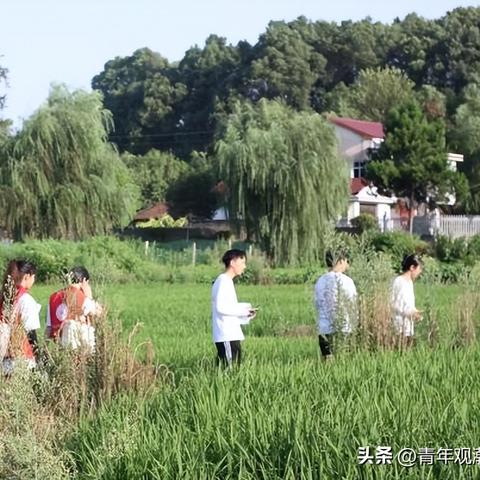 六个心织梦想，纺织品牌聚力圆梦