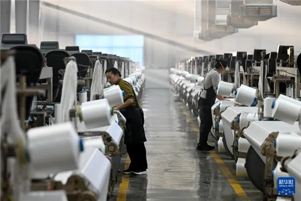 Insights into the Trends in Prices of Common Textile Products in Anhui