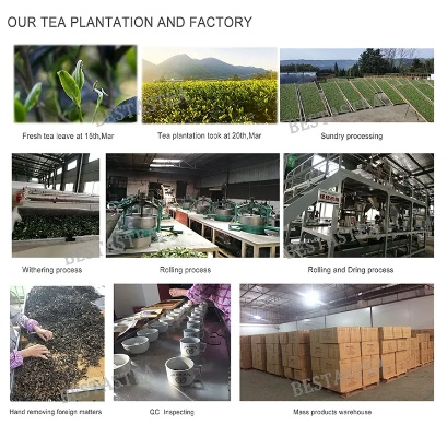 The Story Behind the Fibers at Fang County Baihe Spinning Factory