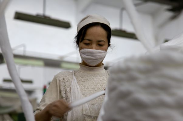 返校纺织厂，重返校园的温馨记忆