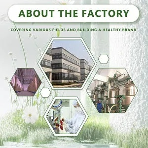 The Story of a Textile Manufacturing Plant