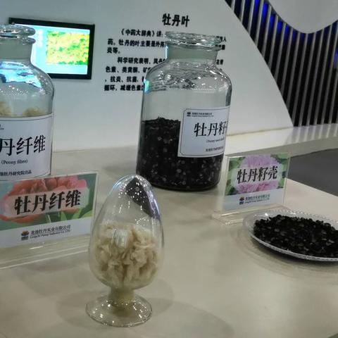 十大抗菌纺织品品牌排行榜，引领健康生活的新选择