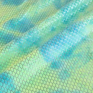Exploring the Fishscale Fabric Textiles