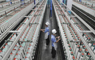 涤纶纺织品加工厂，生产与工艺的探索