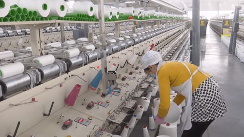 涤纶纺织品加工厂，生产与工艺的探索