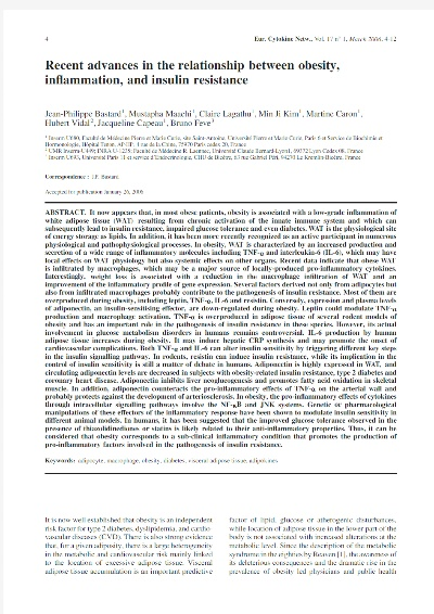 The Inclusive Nature of Knitted Textiles:A Comprehensive Examination