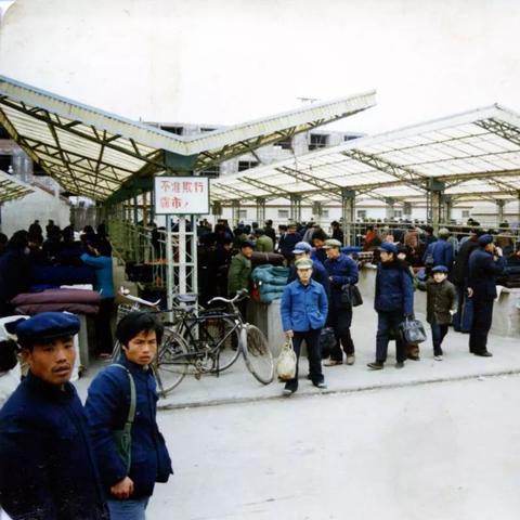大棚专用纺织品价格分析