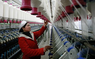 Transforming a Textile Mill into a Renaissance:A Journey Back to the Future