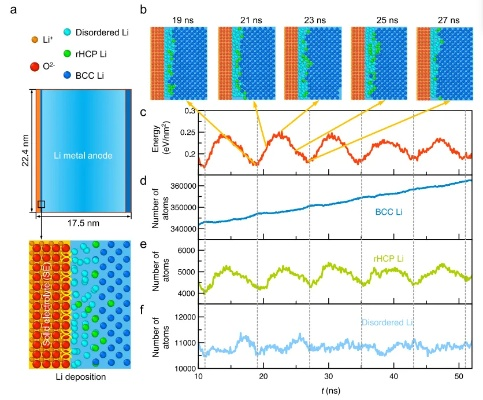 The Dynamics of Liyuanbao Textiles:A Comprehensive Analysis